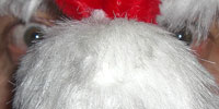Daily Star Christmas Party 2008
